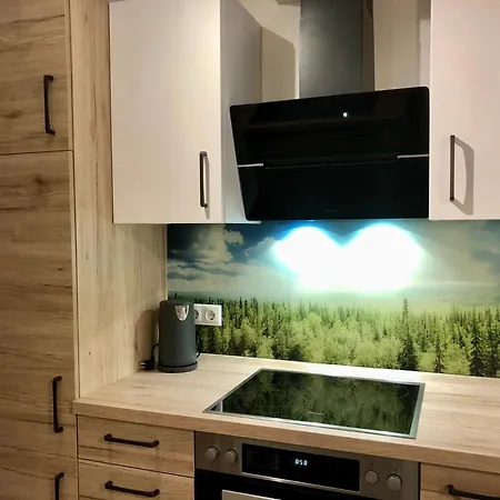 Appartement Schelterhof à Wunsiedel Extérieur photo